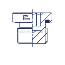BSP с внутренним шестигранником, уплотнение тип E, VE