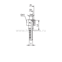 Фитинги для РВД DKO-L/DKO-S внутренняя резьба, накидная гайка - конус 24° с  O-RING - ISO 8434-1 (DIN 2353)