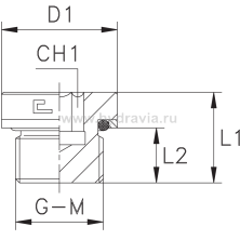 BSP с внутренним шестигранником, уплотнение тип H-VH